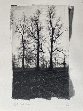 Hyde Park London II, 2000