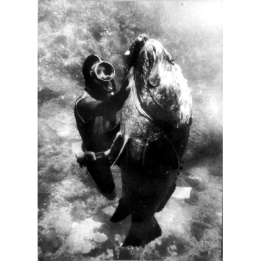 Un duel sous la mer