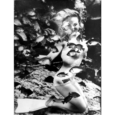La sirène et les petits poissons