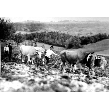 Un agriculteur au travail