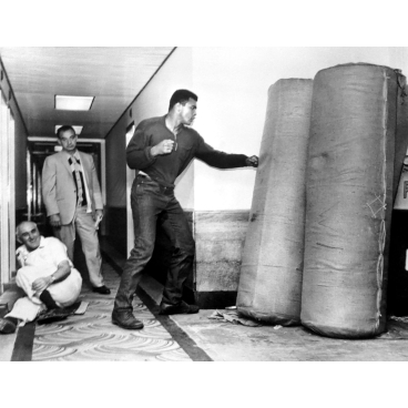 Cassius clay