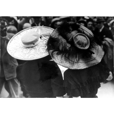 Prix des Drags à Auteuil
