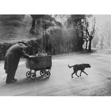 Le vieil homme, le chien et le chariot, Rome, 22 décembre 1964