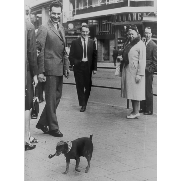 Le look anglais à Bruxelles