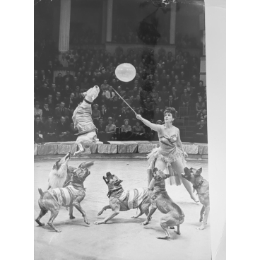 Les romantiques du cirque de Moscou, octobre 1966