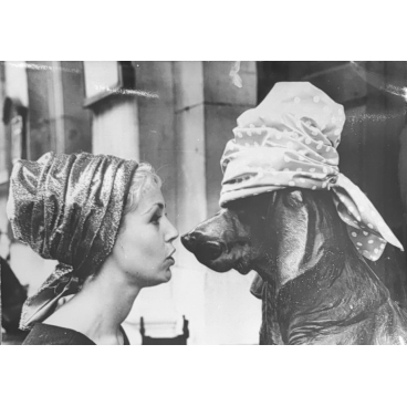 La belle et la bête