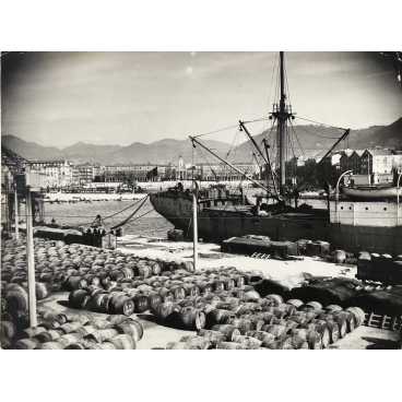 Port de Marseille