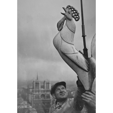 Le coq de l'église, 1951