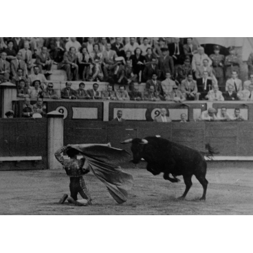 À Madrid, Manuel Navaro exécute une passe dangereuse avec sa cape