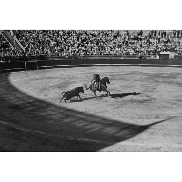 Affrontement dans l'arène