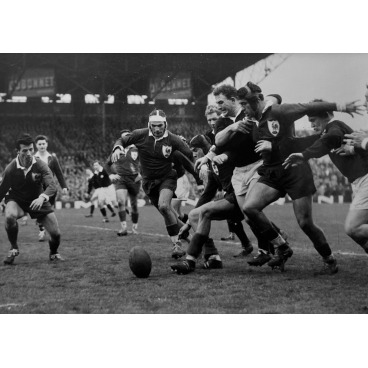 France-Ecosse à Colombes, 1959