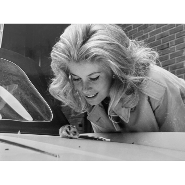 Catherine Deneuve et le hamster