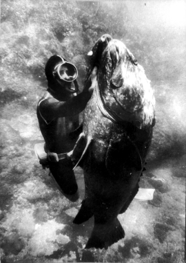 Un duel sous la mer