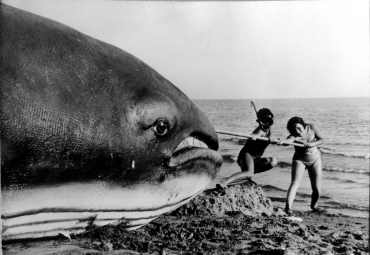 Elles ont tué la baleine