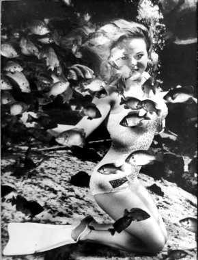 La sirène et les petits poissons
