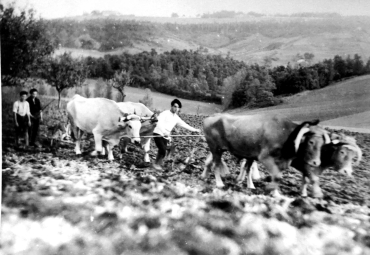 Un agriculteur au travail