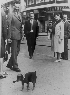 Le look anglais à Bruxelles