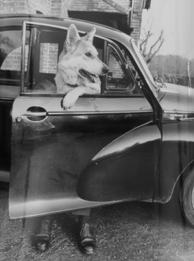L'automobiliste de l'année