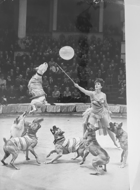 Les romantiques du cirque de Moscou, octobre 1966