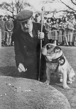Championnat britannique traditionnel de billes, Tinsley Green, 11 avril 1952