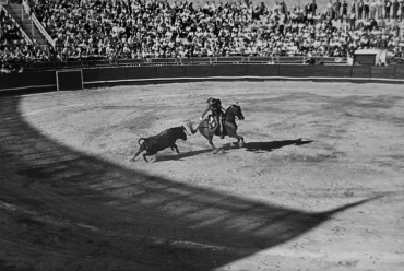 Affrontement dans l'arène