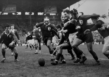 France-Ecosse à Colombes, 1959