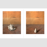 © Joel Meyerowitz - Les presses du réel