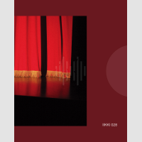 © Ralph Gibson / iikki books