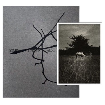 False Friends (édition collector)