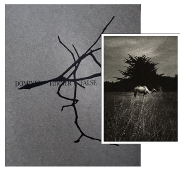 False Friends (édition collector)