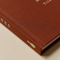 © Tristan Pereira / La Petite Semaine