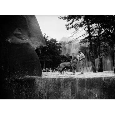 Un lion et son gardien au zoo de Vincennes, Paris, 1934