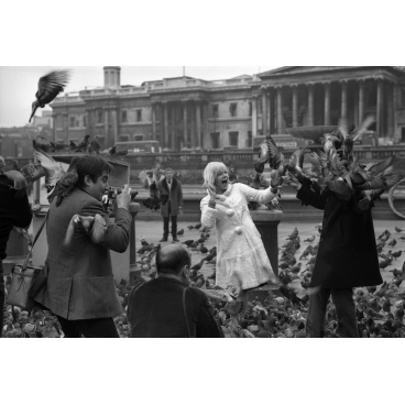 Sylvie Vartan et les pigeons de Westminter, 1965